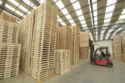 河北唐山 乡村工厂 拓宽村民致富路